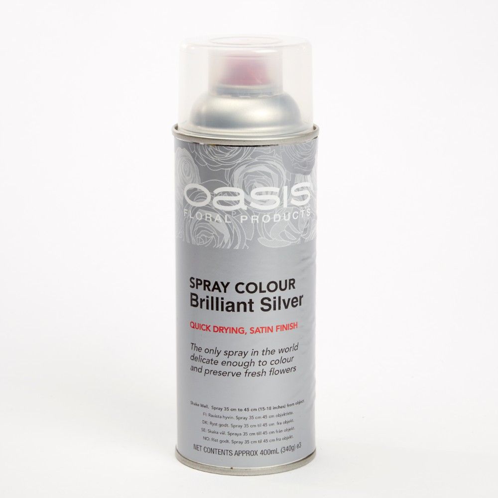 OASIS® Spray Paint Colours Brilliant Silver 400ml — Artificial