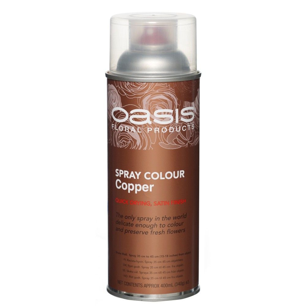 OASIS® Spray Paint Colours Copper 400ml — Artificial Floral Supplies