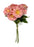 Daisy Bundle Pink x 30cm - Pink & Cream