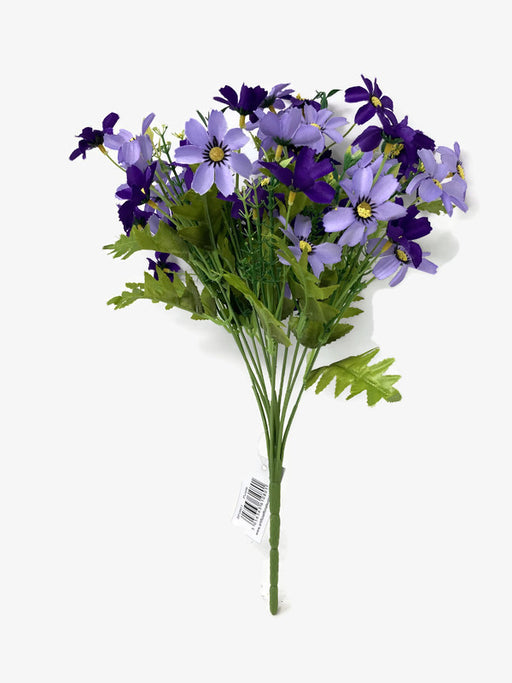 12 Stem Cosmos Daisy Cottage Flower Bush x 36cm - Purple