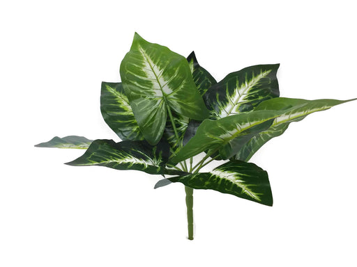 Large Variegated Leaf Bush - Green & Cream x 35cm