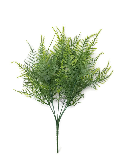 Aparagus Fern Bush x 35cm - Green