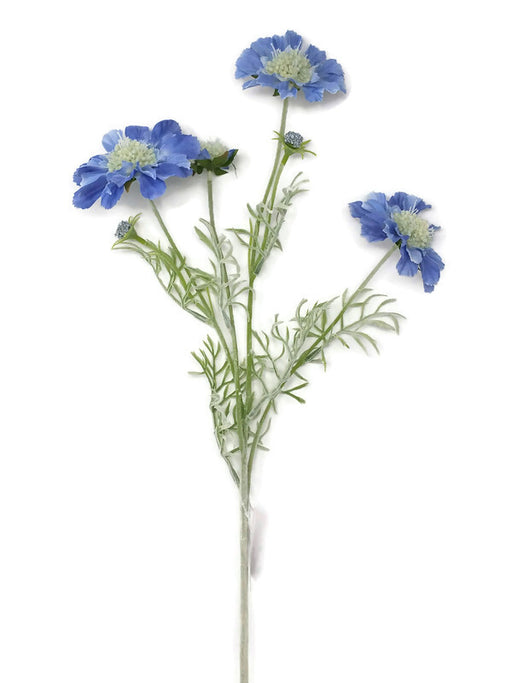 Wild Blue Cornflower Spray x 60cm