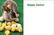 Happy Easter Greeting Card (x50)