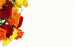 50  Florist Cards - Blank Mixed Rose
