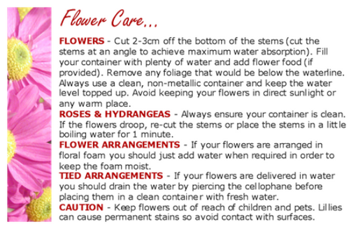 Florist Cards x 50 Multi Care