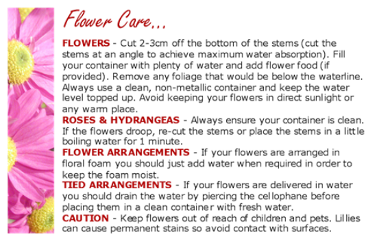 Florist Cards x 50 Multi Care