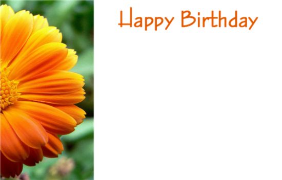 50  Florist Cards - Happy Birthday Orange Gerbera