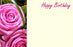 50 Florist Cards - Happy Birthday - Pink Roses