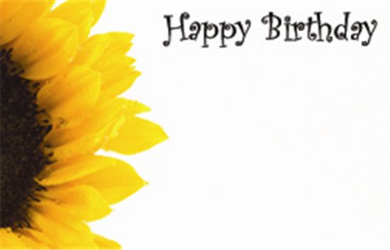 50  Florist Cards - Happy Birthday Sunflower