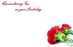 50  Florist Cards - Remembering You On Your Birthday Red Carnations
