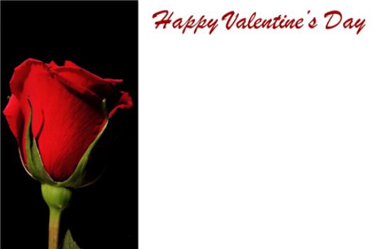 Valentine Florist Message Cards - Happy Valentines Day  x 50