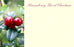 Happy Christmas Florist Message Cards 9 x 6cm - Red Berries  - Pack of 50