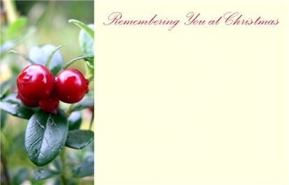 Happy Christmas Florist Message Cards 9 x 6cm - Red Berries  - Pack of 50