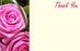 50  Florist Cards - Pink Roses