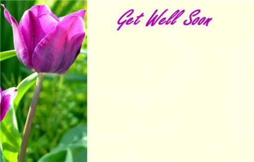 50  Florist Cards - Get Well Soon