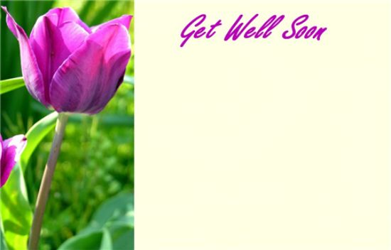 50  Florist Cards - Get Well Soon