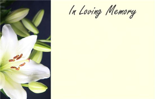 50  Florist Cards - In Loving Memory Cream Lily