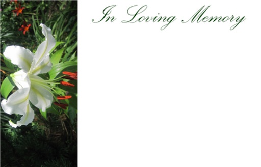 50  Florist Cards - In Loving Memory White Lily