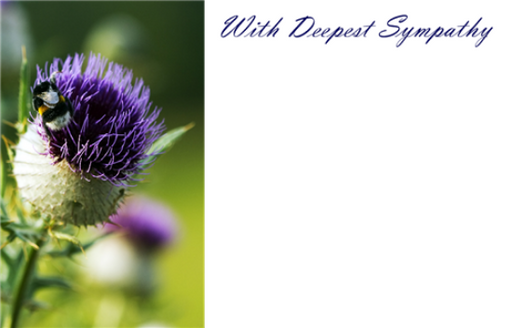 50  Florist Cards - With Deepest Sympathy Thistle Purple