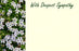 50  Florist Cards - With Deepest Sympathy