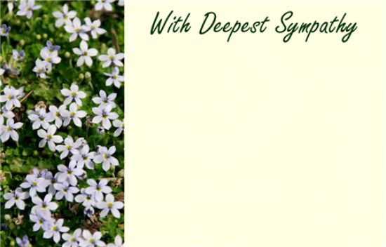 50  Florist Cards - With Deepest Sympathy