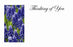 50  Florist Cards - Thinking Of You Bluebells