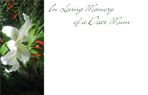50  Florist Cards - In Loving Memory Dear Mum White Lily