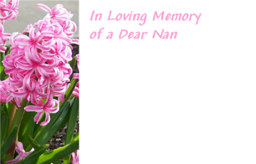 50  Florist Cards - In Loving Memory Dear Nan Hyacinths Pink