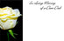 50  Florist Cards - In Loving Memory Dear Dad Cream Rose
