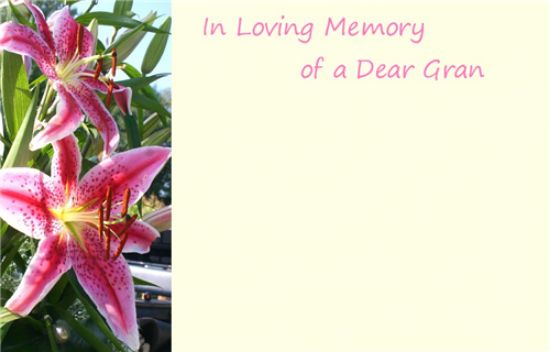 50  Florist Cards - In Loving Memory Dear Gran Pink Lilies