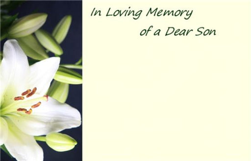 50  Florist Cards - In Loving Memory Dear Son Cream Lily