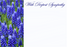 12 Large Florist Sympathy Message Cards - With Deepest Sympathy Bluebells