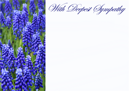 12 Large Florist Sympathy Message Cards - With Deepest Sympathy Bluebells