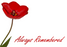 12 Large Florist Sympathy Message Cards - Always Remembered Red Poppy