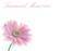 12 Large Florist Sympathy Message Cards - Treasured Memories
