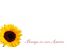 12 Large Florist Sympathy Message Cards - Always in our hearts Sunflower