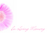 12 Large Florist Sympathy Message Cards - In Loving Memory Pink Gerbera