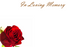 12 Large Florist Sympathy Message Cards - In Loving Memory Red Rose