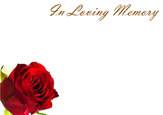 12 Large Florist Sympathy Message Cards - In Loving Memory Red Rose