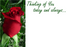 12 Large Florist Sympathy Message Cards - Thinking of you today and always