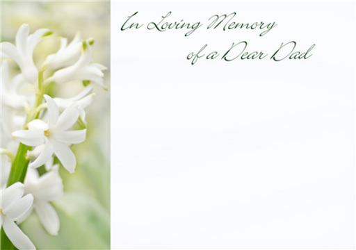 12 Large Florist Sympathy Message Cards - 12.5 x 9cm - In loving Memory Of A Dear DAD White  Hyacinth