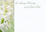 12 Large Florist Sympathy Message Cards - 12.5 x 9cm - In loving Memory Of A Dear DAD White  Hyacinth