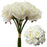 27cm Large Rose Bundle 9 Stems  - Ivory