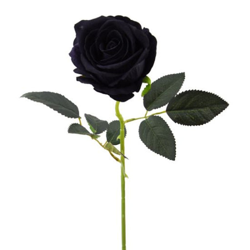 52cm Single Stem Black Rose