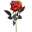 52cm Single Stem Orange Rose