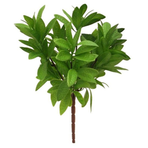 Bay Leaf Bush x 32cm