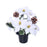 White Poinsettia Holly & Snowy Pine Grave Vase Pot