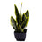 35cm Artificial  Sansevieria Plant - Variegated
