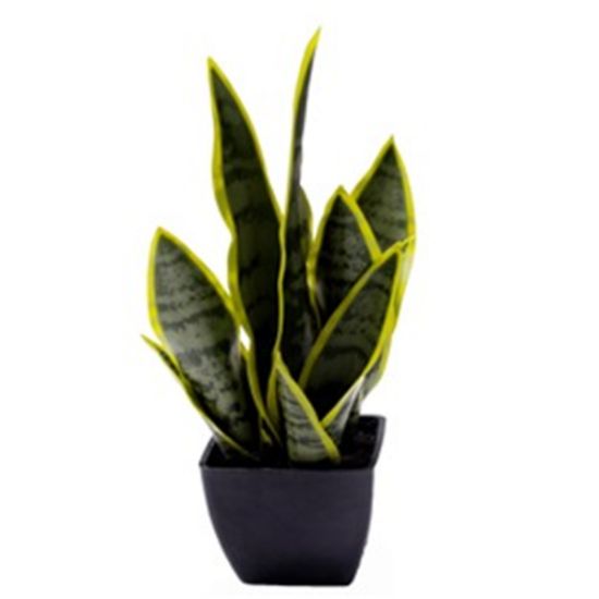 35cm Artificial  Sansevieria Plant - Variegated